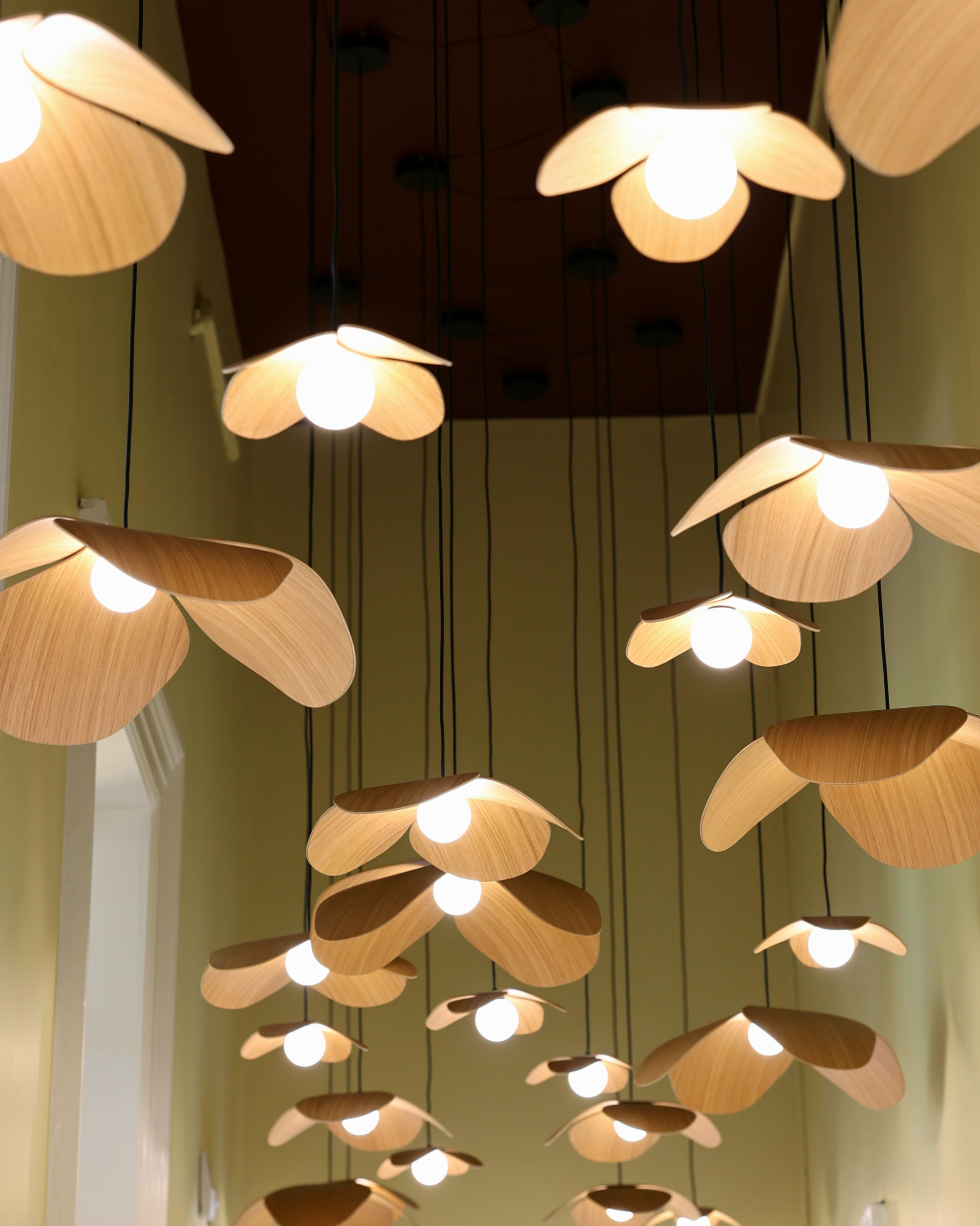 Forget Me Not Cluster 5 pendel med roset, egetræ • UMAGE