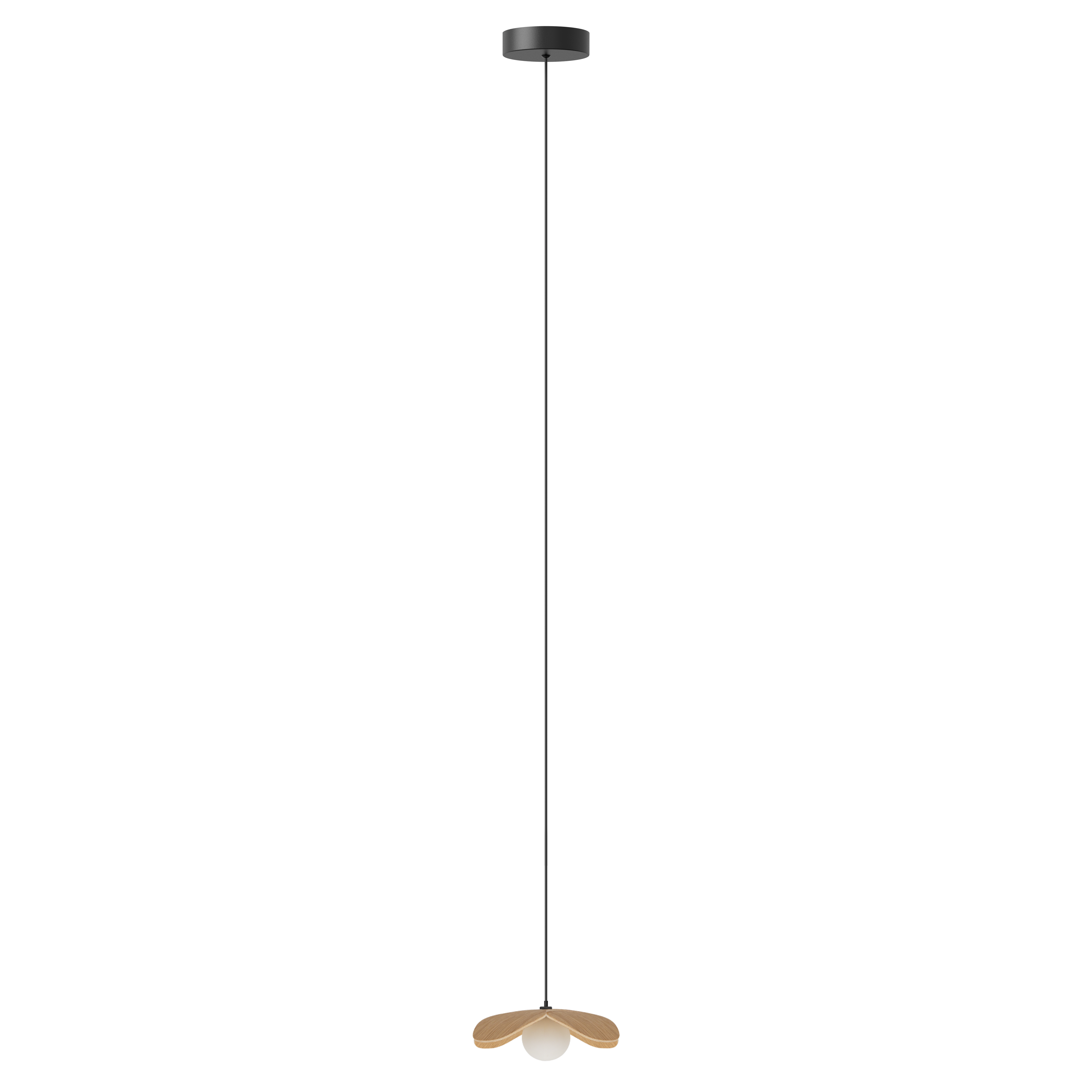 Forget Me Not pendel med roset, egetræ • UMAGE