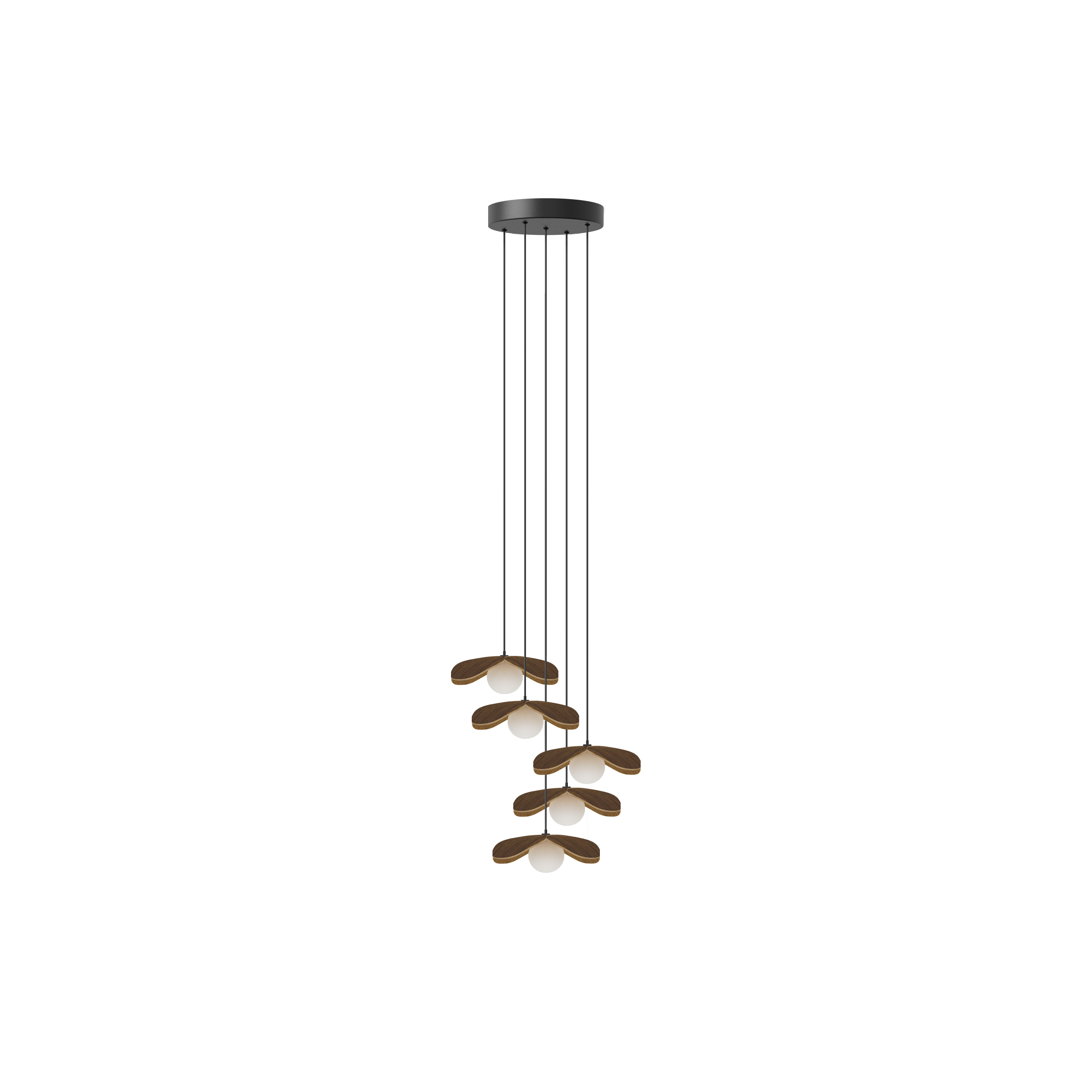 Forget Me Not Cluster 5 pendel med roset, mørk egetræ • UMAGE