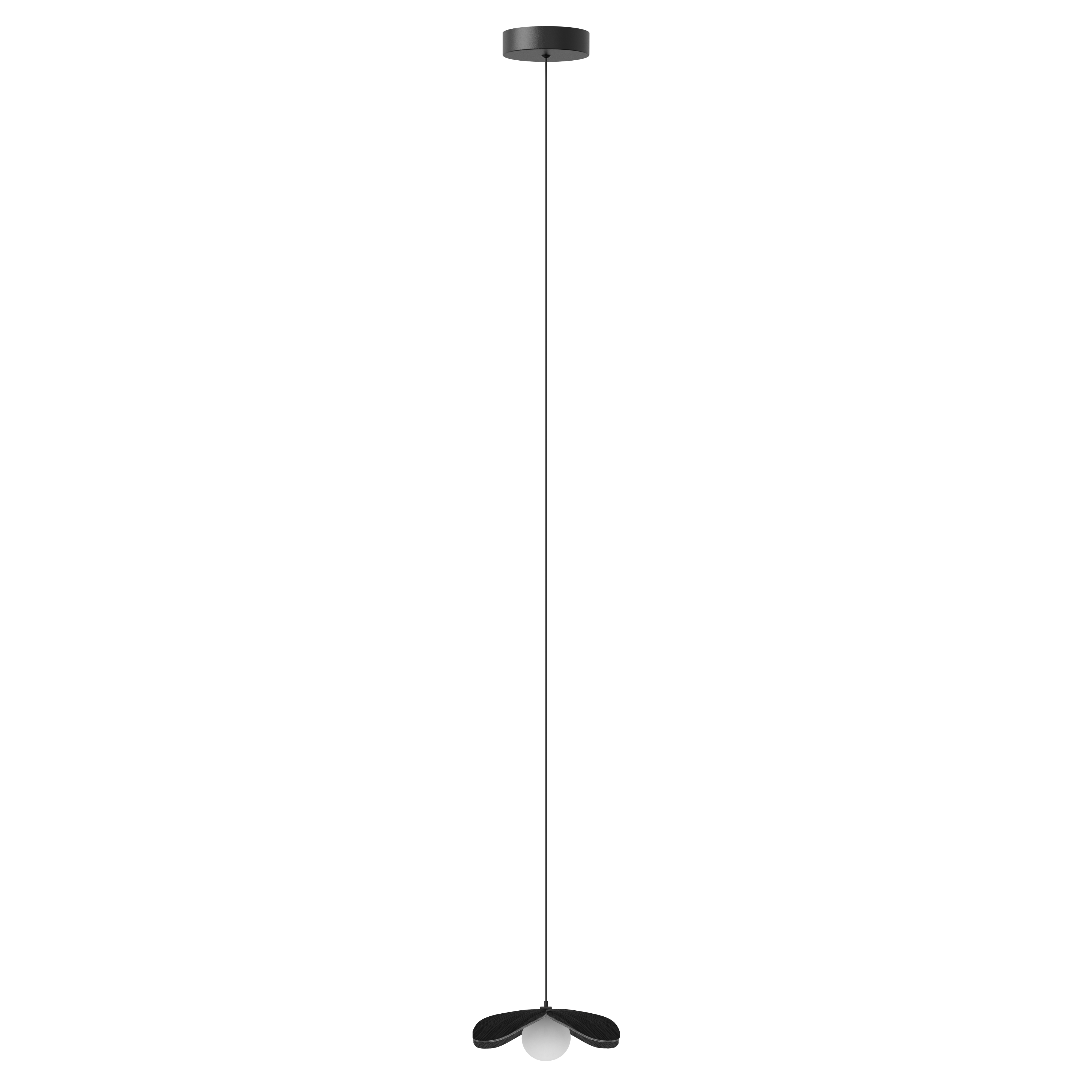 Forget Me Not pendel med roset, sort egetræ • UMAGE