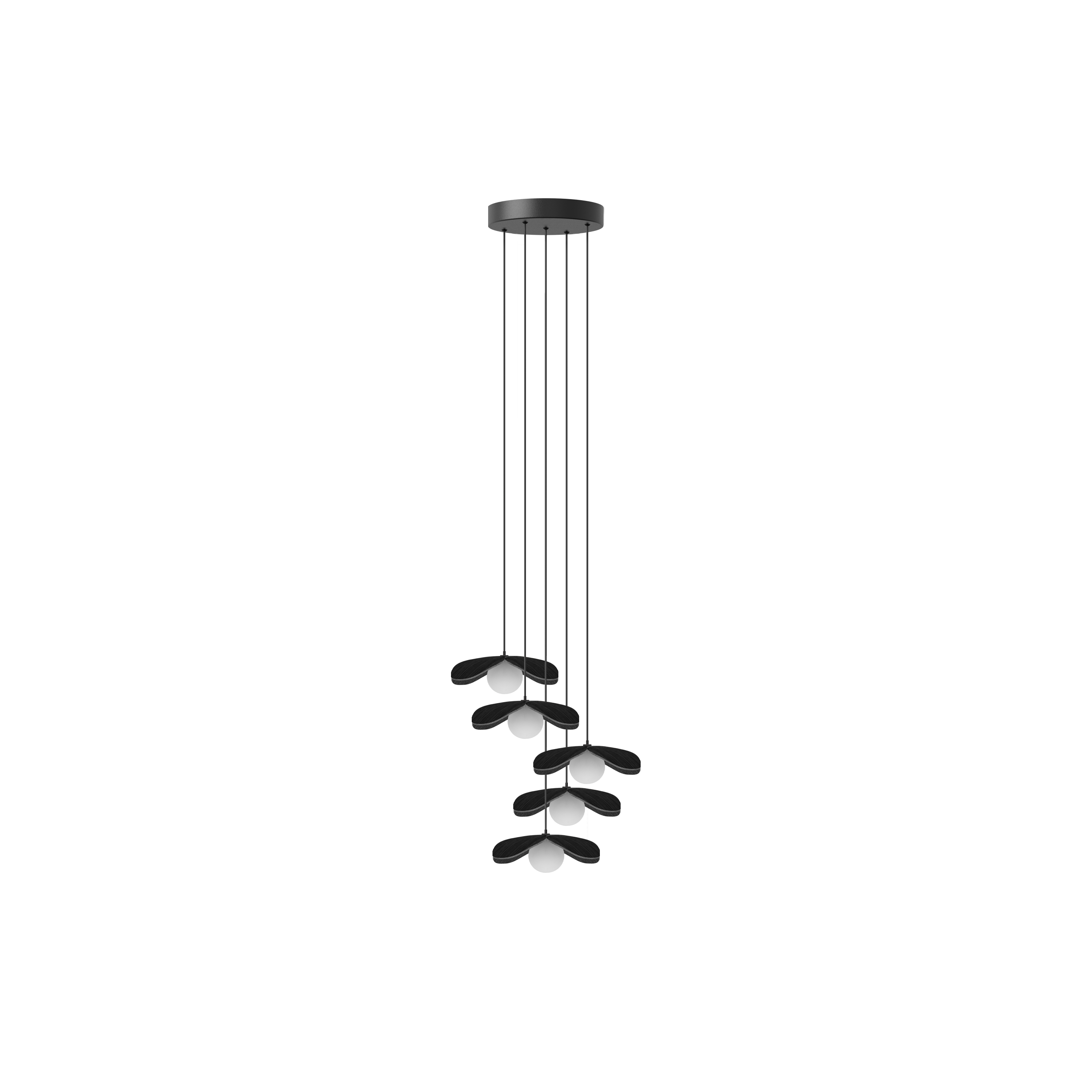 Forget Me Not Cluster 5 pendel med roset, sort egetræ • UMAGE