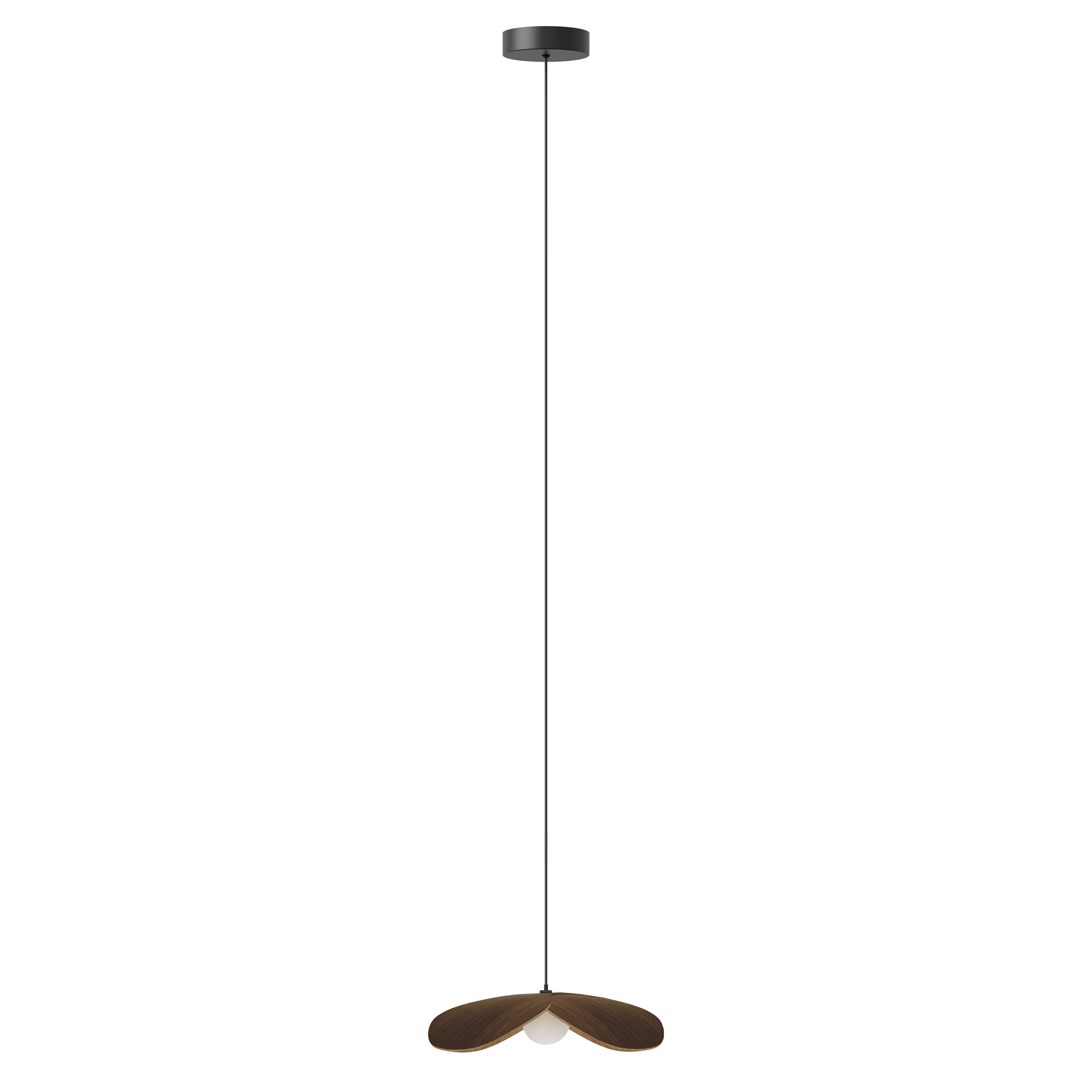 Forget Me Not pendel med roset, mørk egetræ • UMAGE