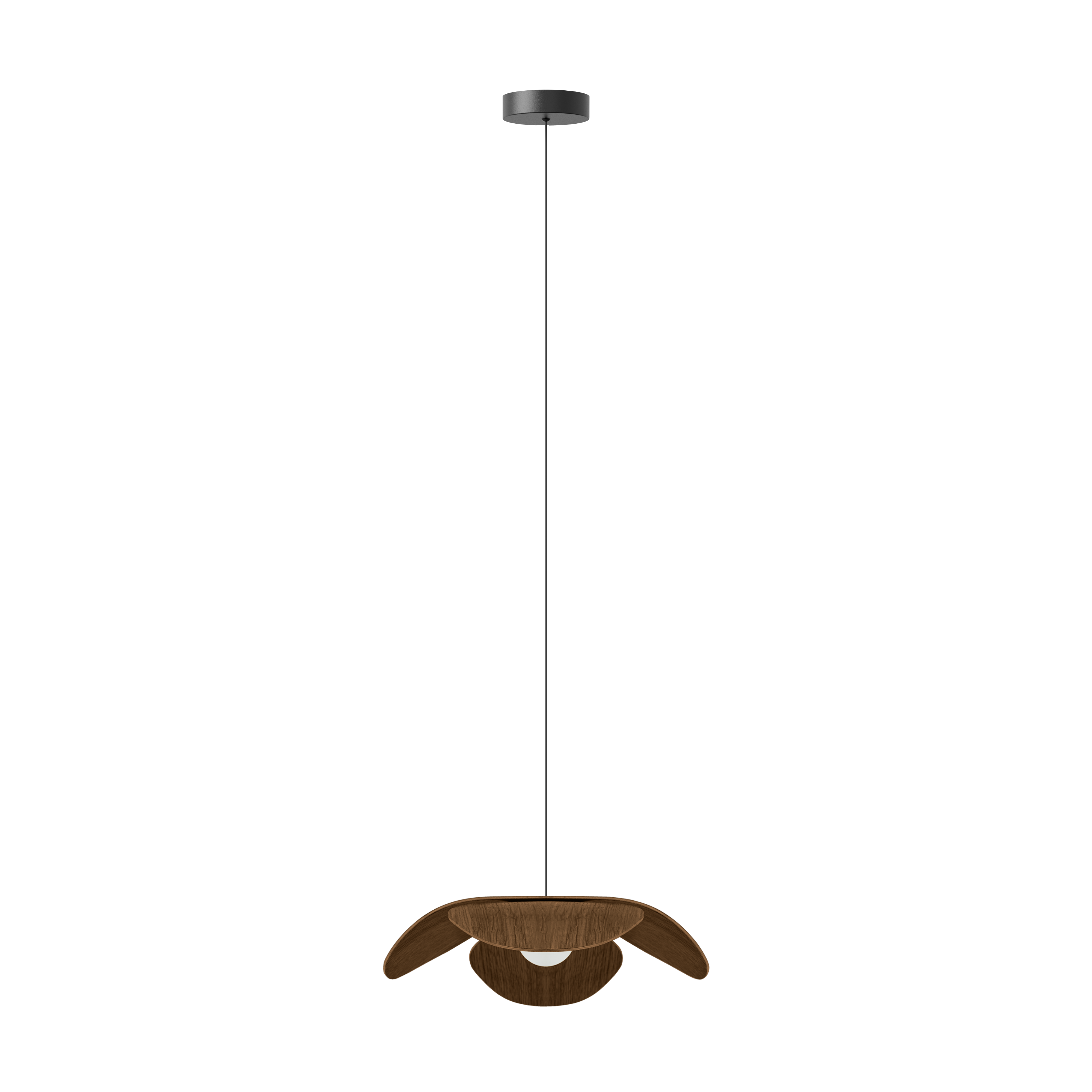 Forget Me Not pendel med roset, mørk egetræ • UMAGE