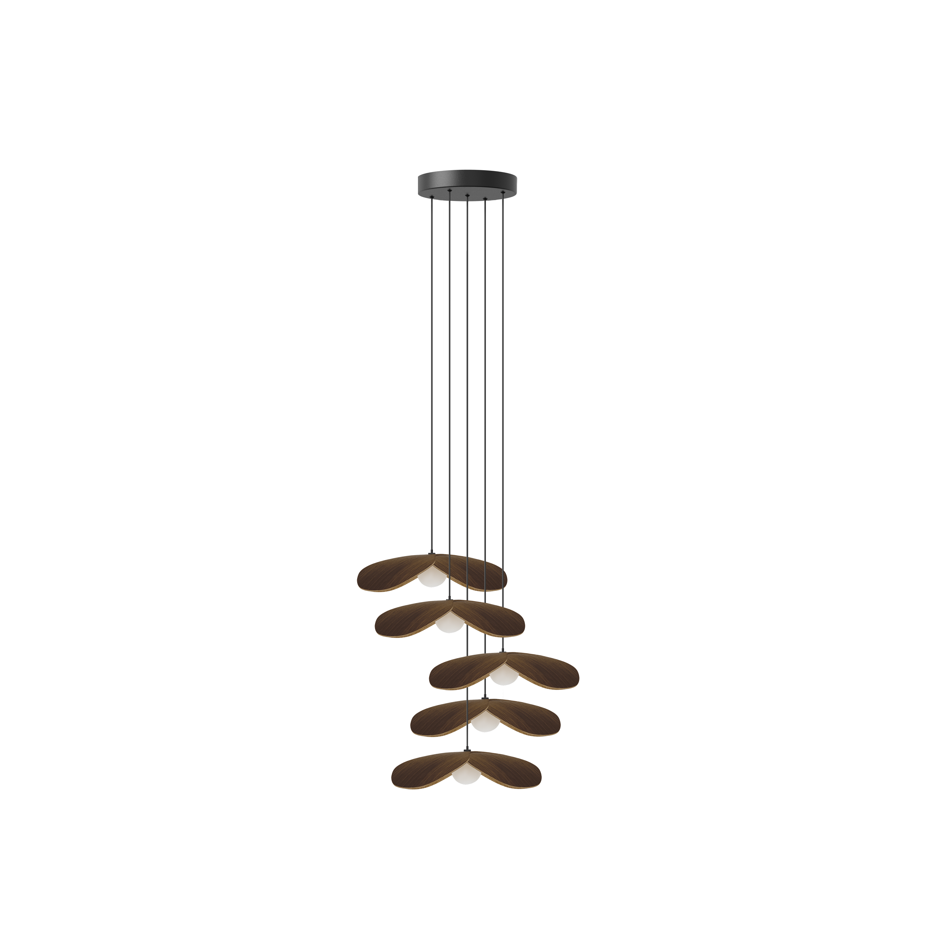 Forget Me Not Cluster 5 pendel med roset, mørk egetræ • UMAGE