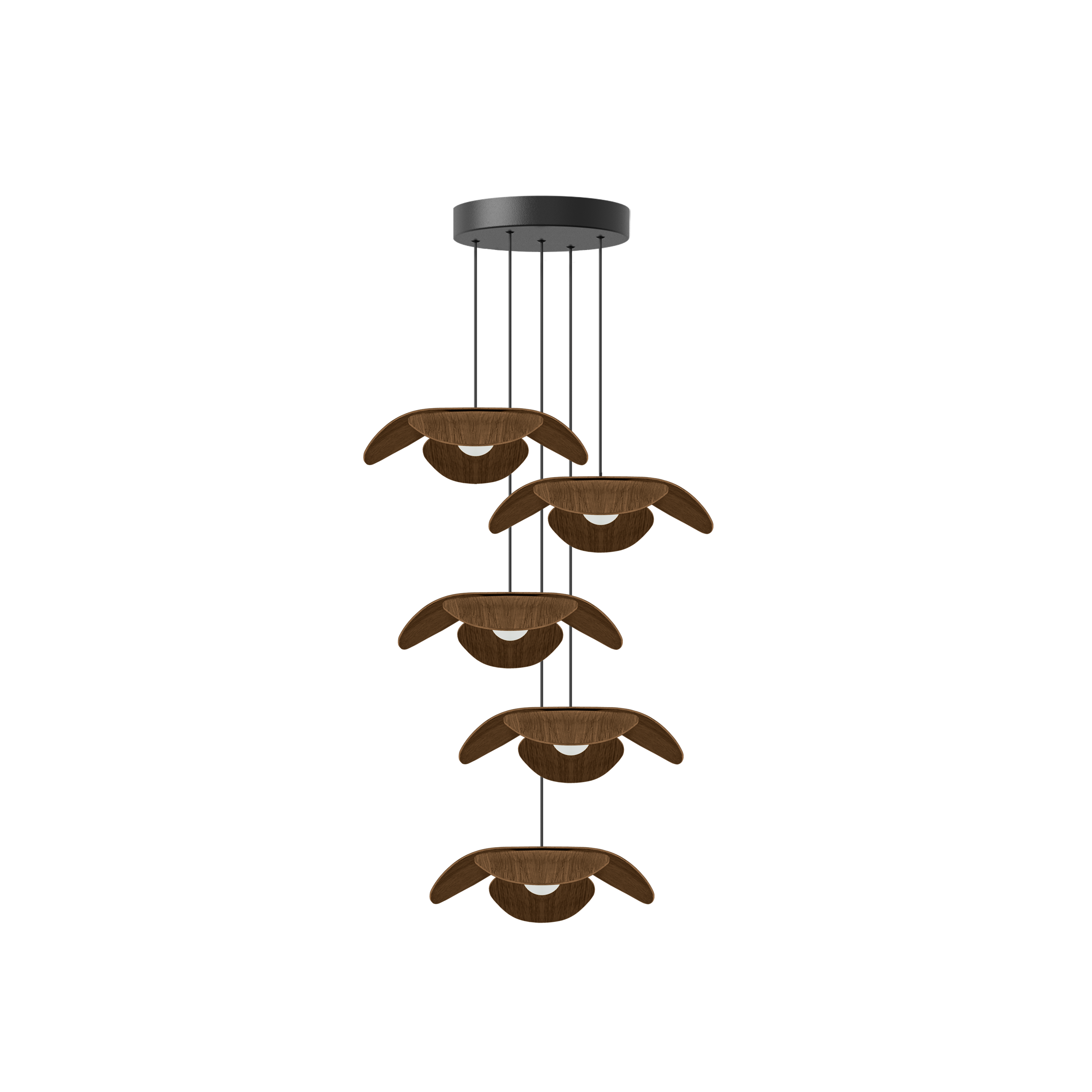 Forget Me Not Cluster 5 pendel med roset, mørk egetræ • UMAGE