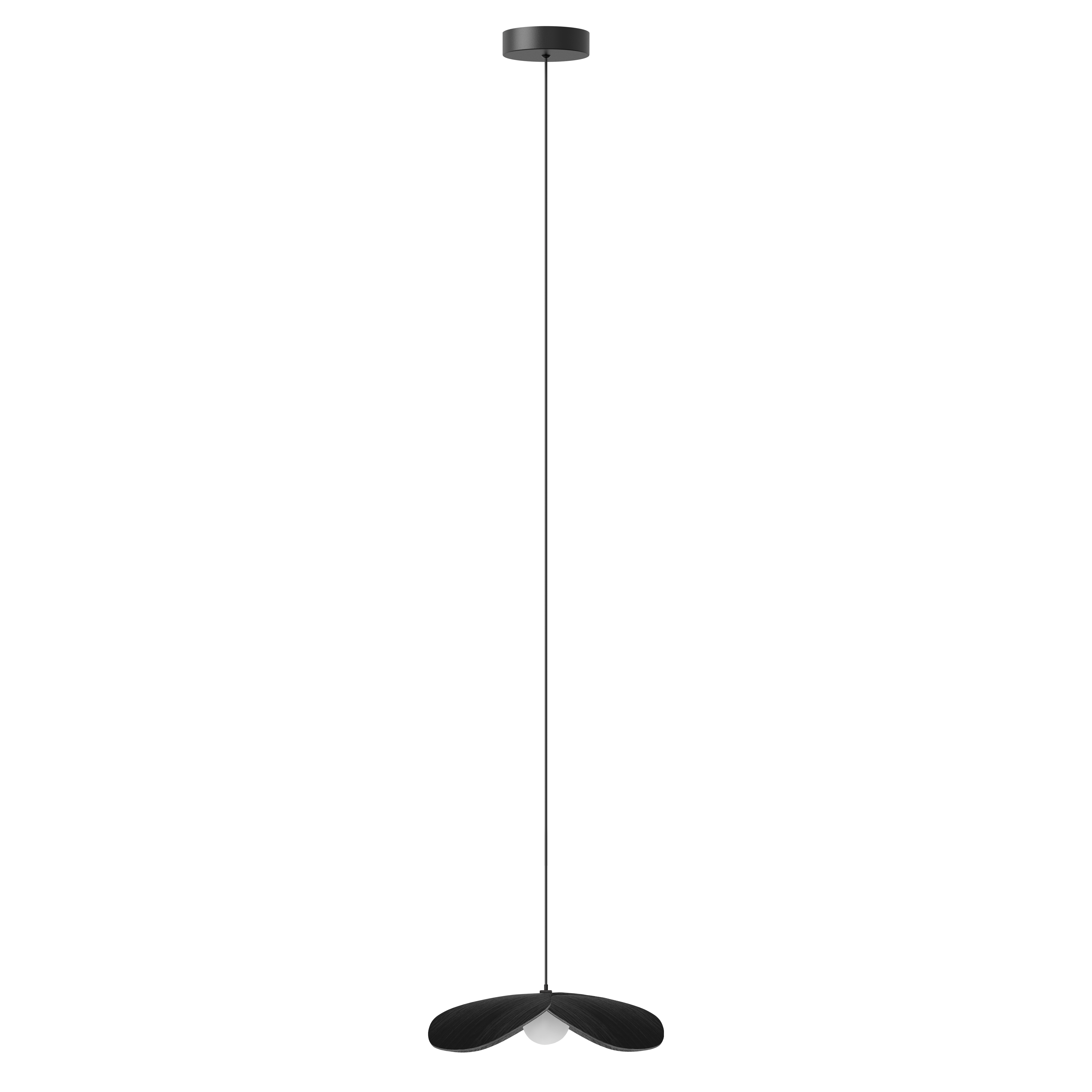 Forget Me Not pendel med roset, sort egetræ • UMAGE