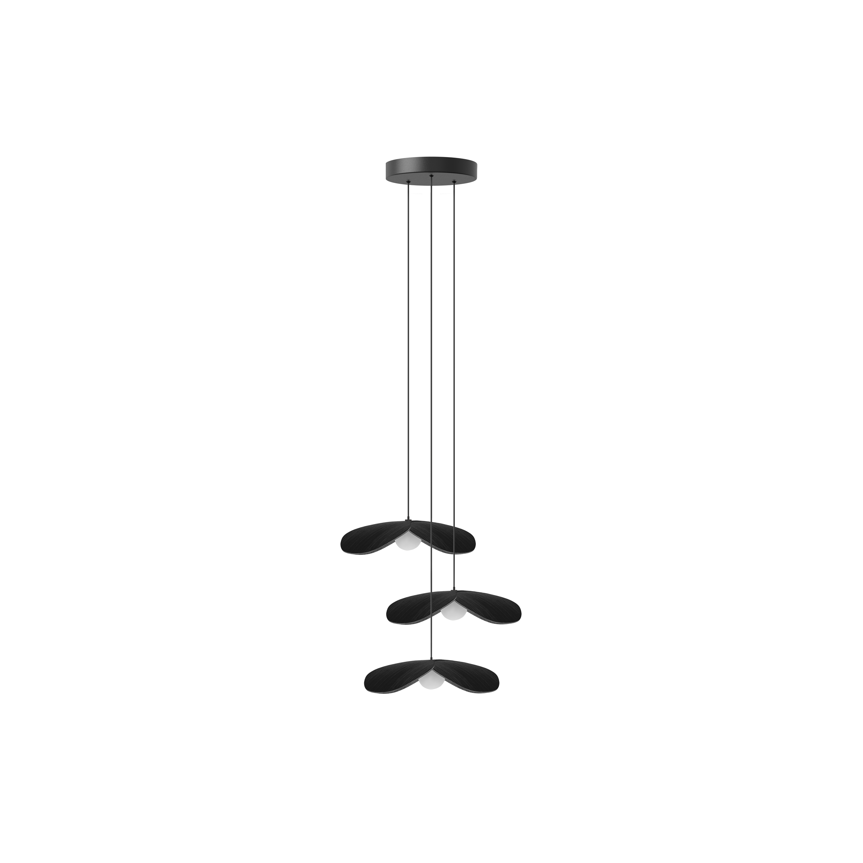 Forget Me Not Cluster 3 pendel med roset, sort egetræ • UMAGE