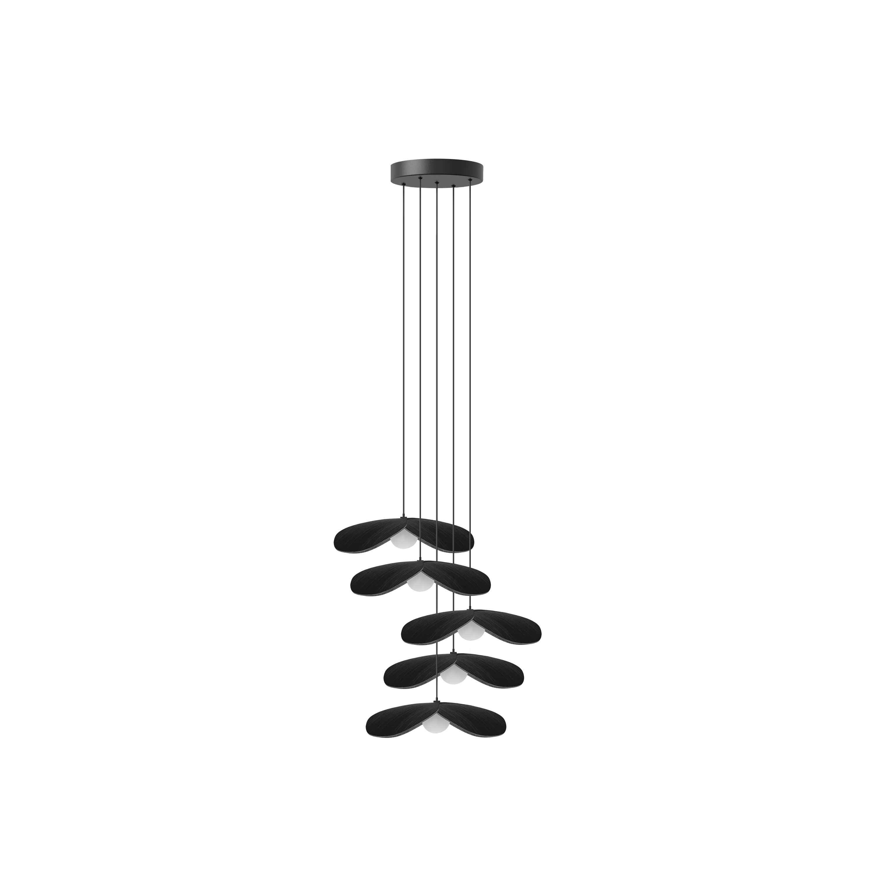 Forget Me Not Cluster 5 pendel med roset, sort egetræ • UMAGE