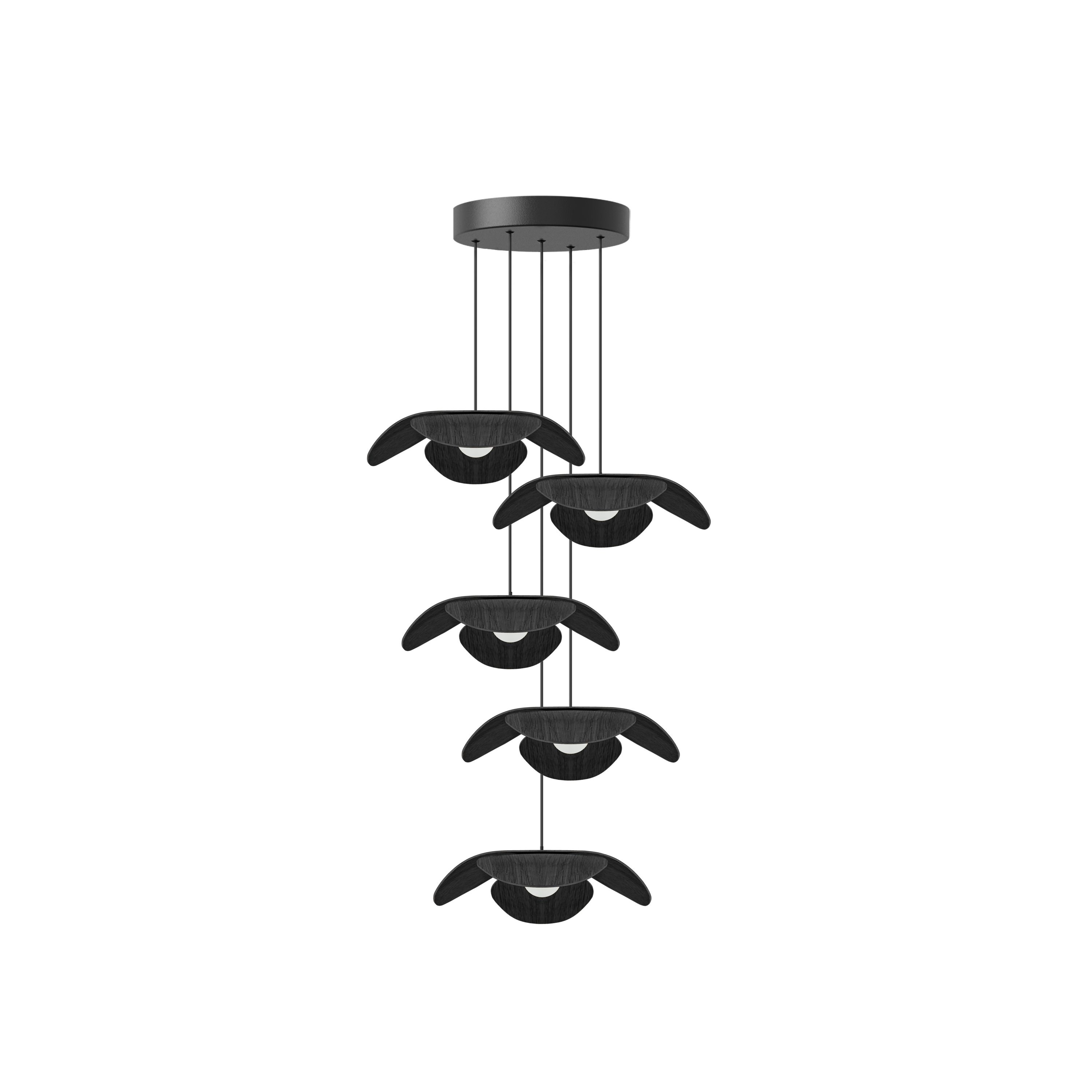 Forget Me Not Cluster 5 pendel med roset, sort egetræ • UMAGE