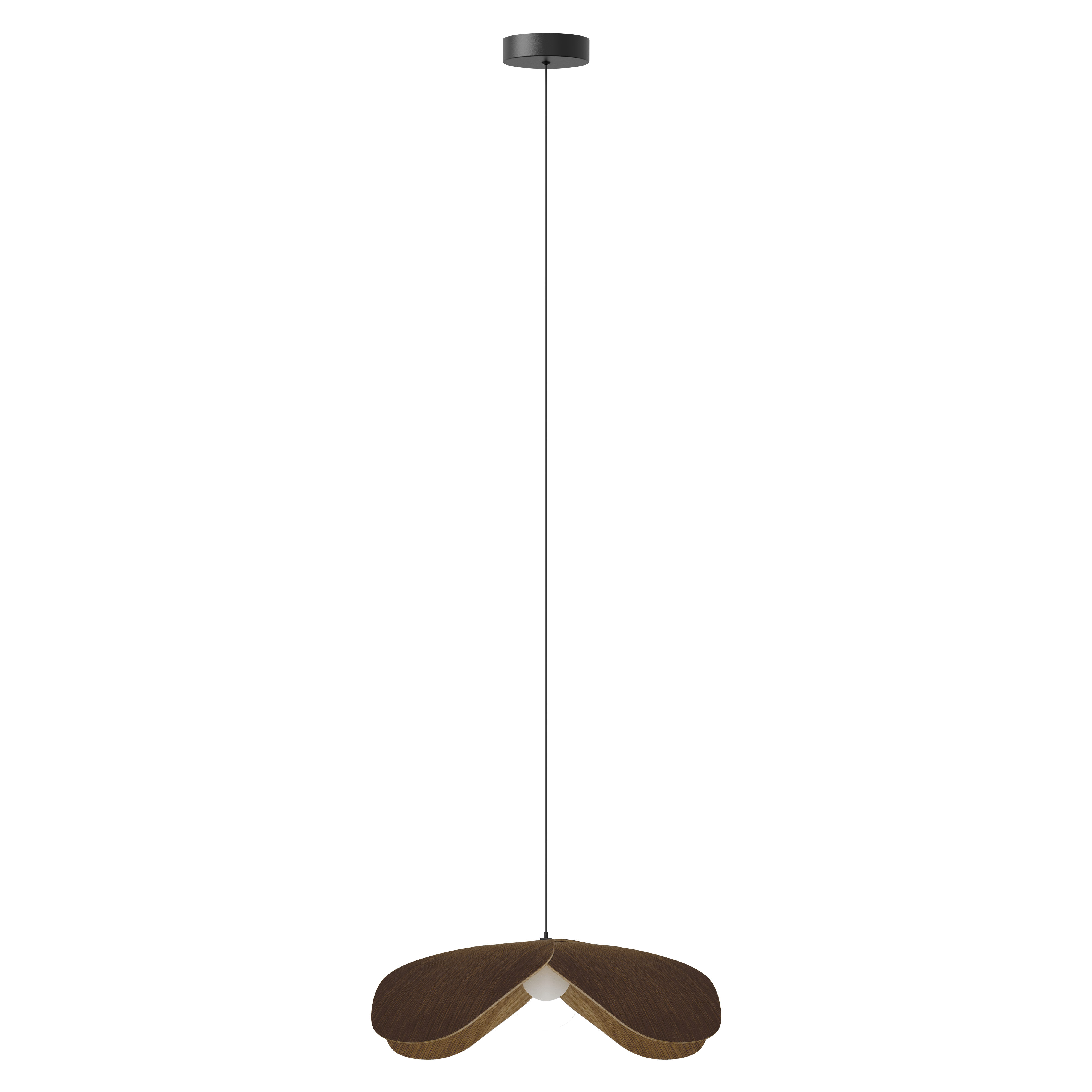 Forget Me Not pendel med roset, mørk egetræ • UMAGE