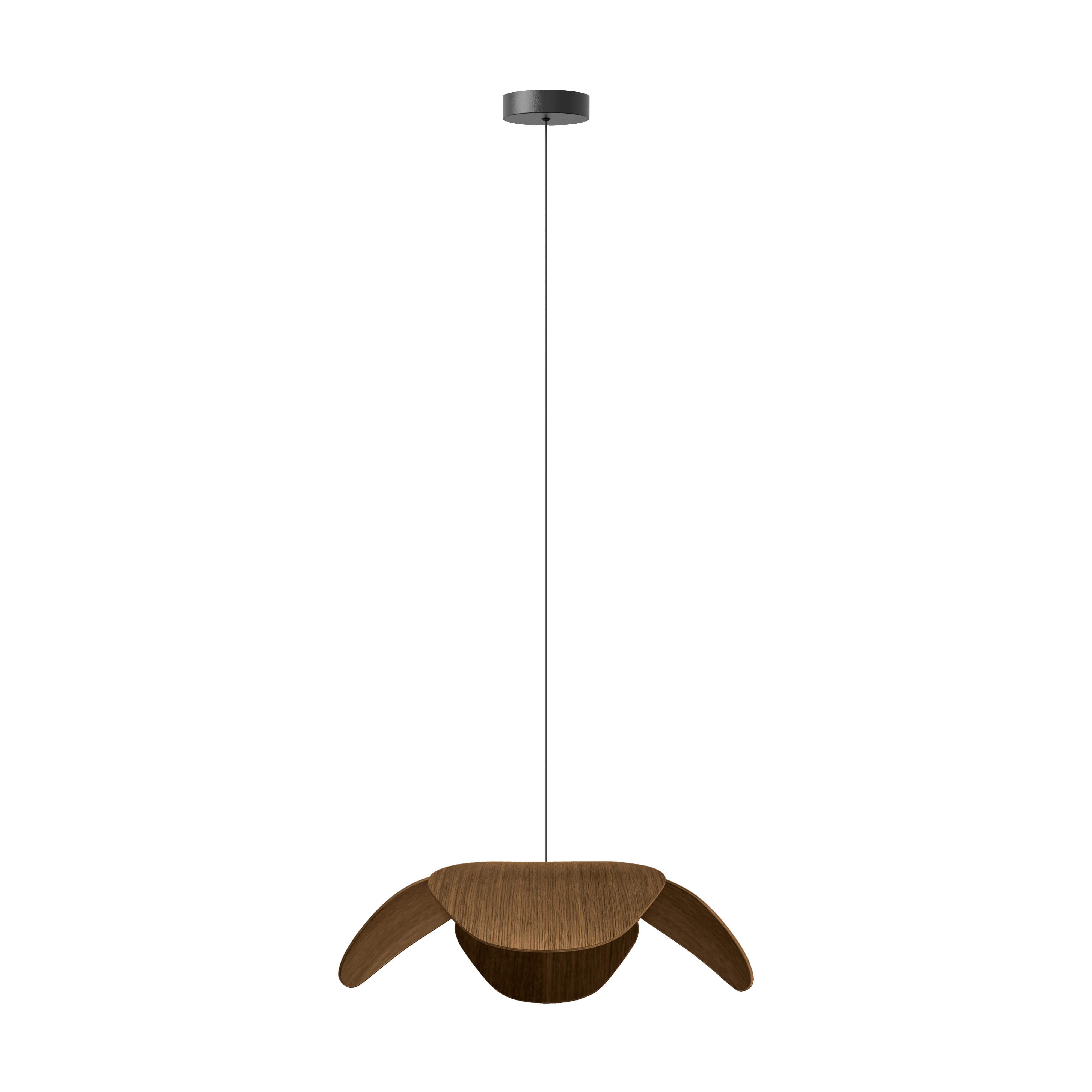 Forget Me Not pendel med roset, mørk egetræ • UMAGE