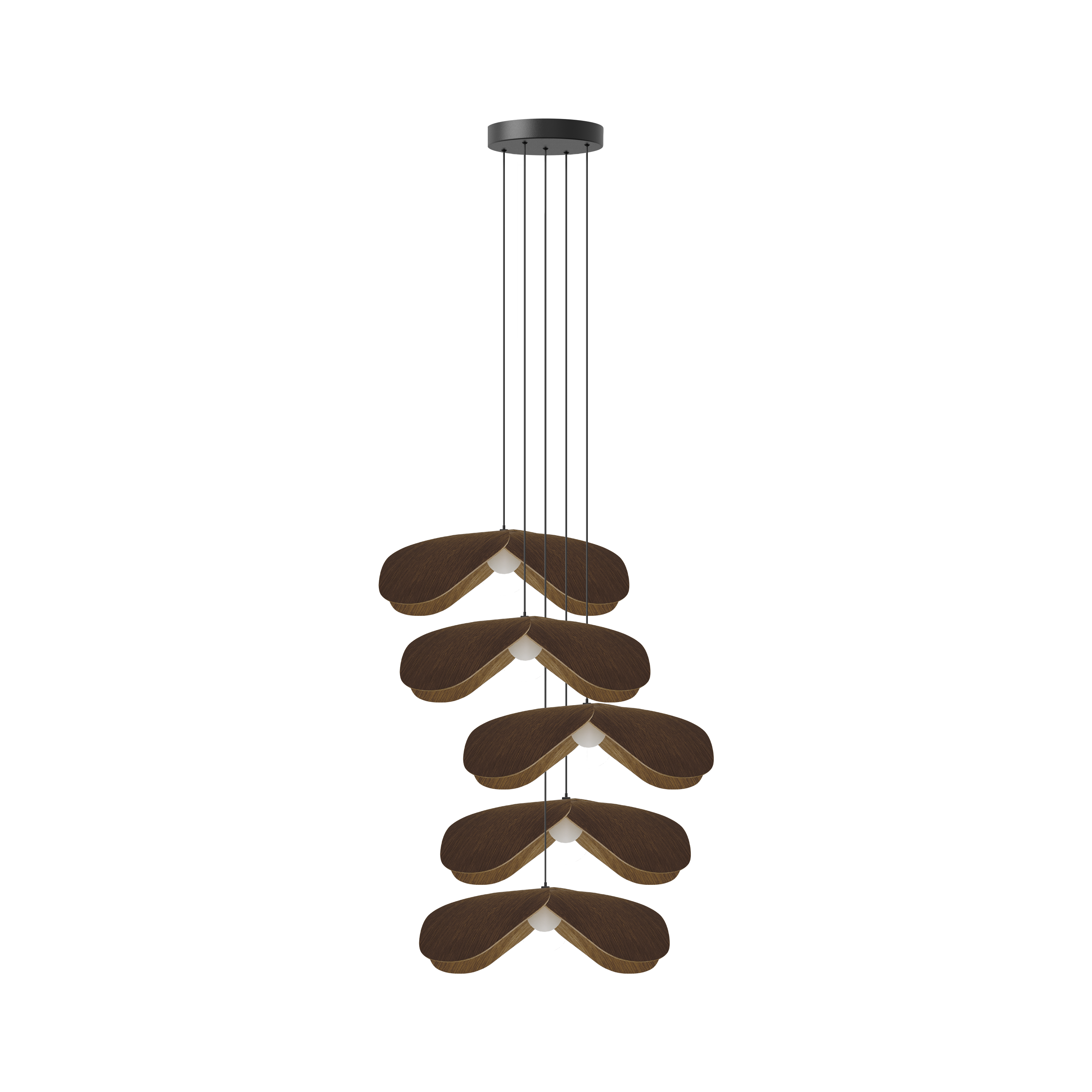 Forget Me Not Cluster 5 pendel med roset, mørk egetræ • UMAGE