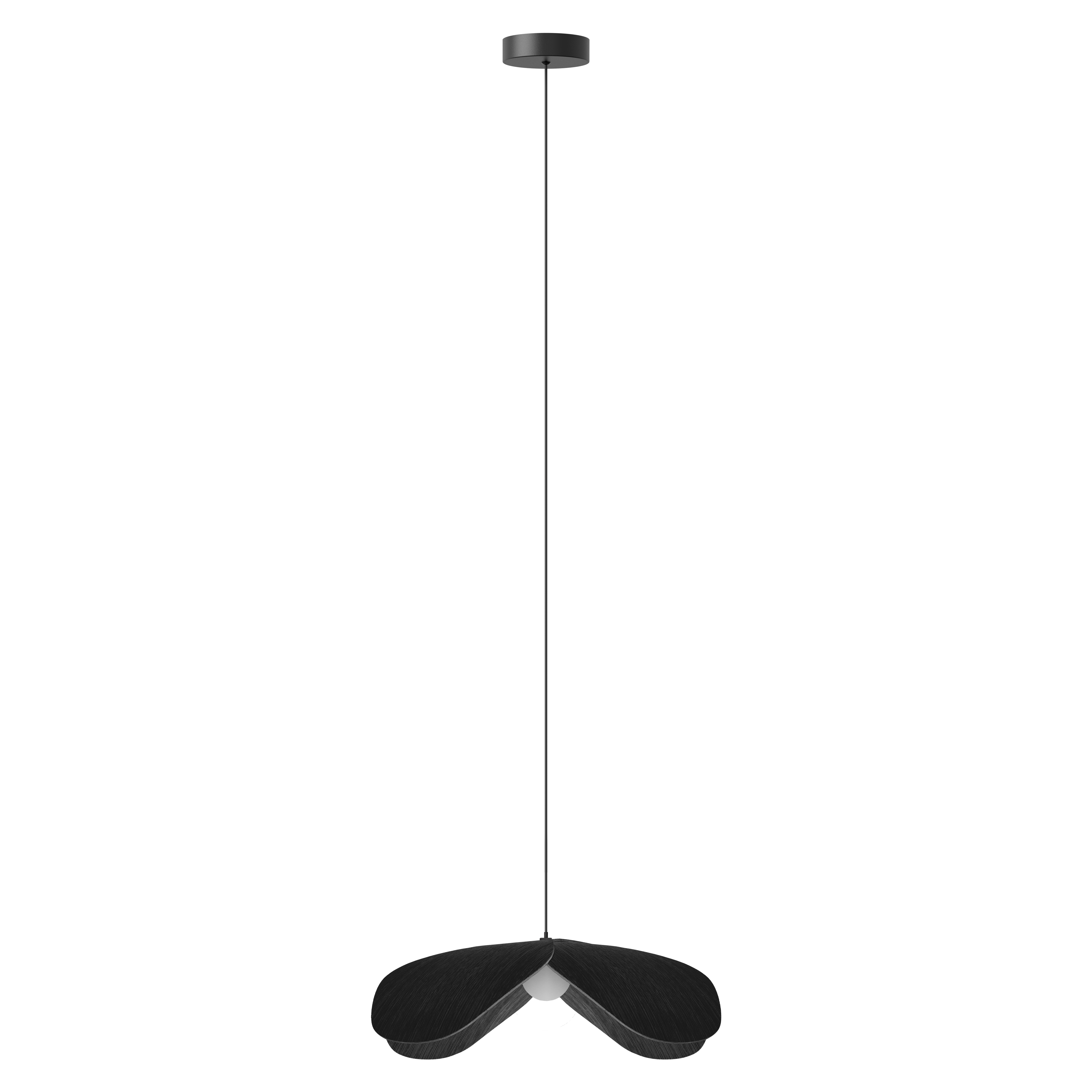 Forget Me Not pendel med roset, sort egetræ • UMAGE