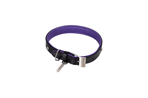 Hundehalsbånd i sort og lilla læder med detaljer i stål, på hvid baggrund.