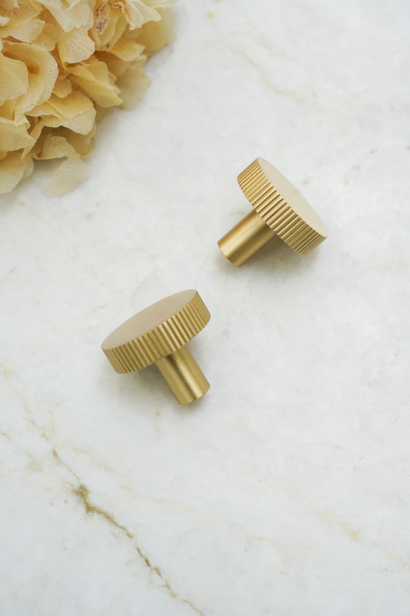 Langelinie - Möbelknopf aus gebürstetem, massivem Messing mit Lackierung