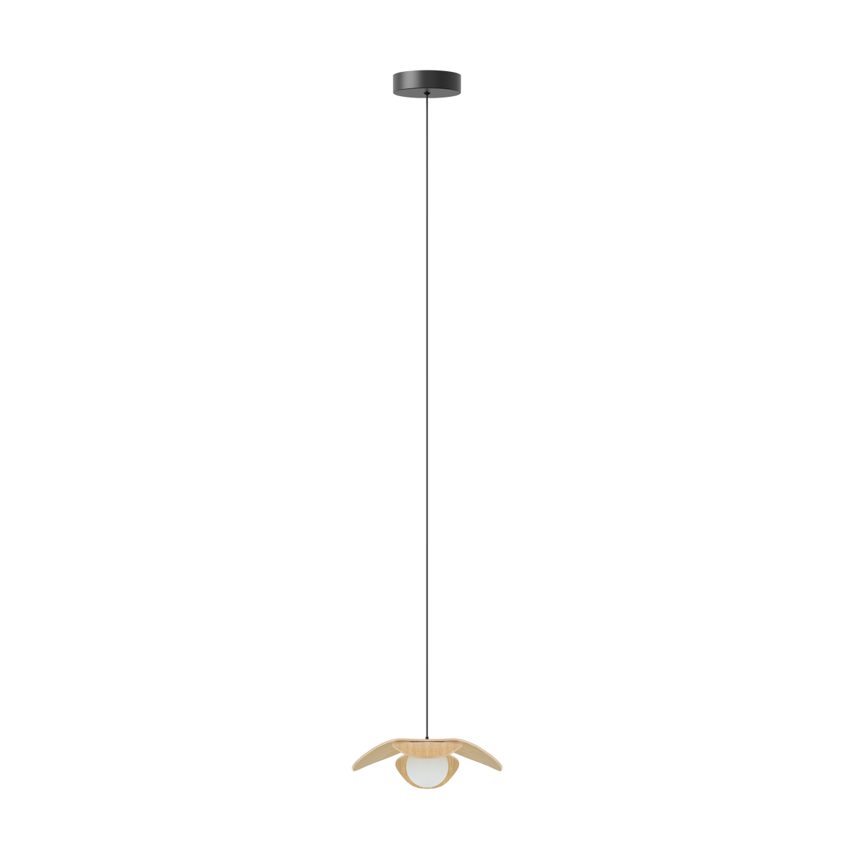 Forget Me Not pendel med roset, egetræ • UMAGE - Copenhagenhomedesign