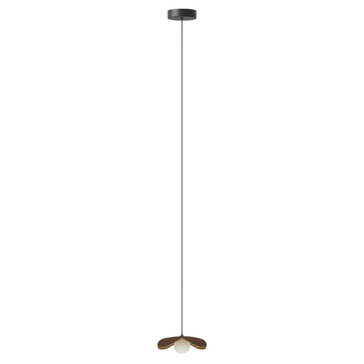 Forget Me Not Pendelleuchte mit Deckenrosette, dunkles Eichenholz • UMAGE - Copenhagenhomedesign